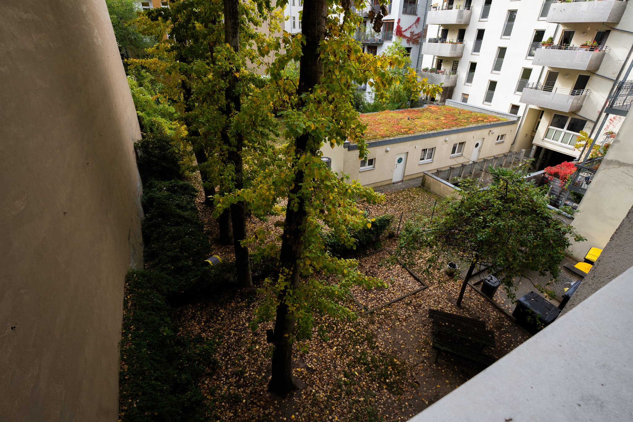 Blick aus der Wohnung in den begrünten Innenhof